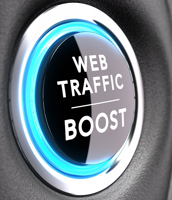 SEO Web Traffic Boost button